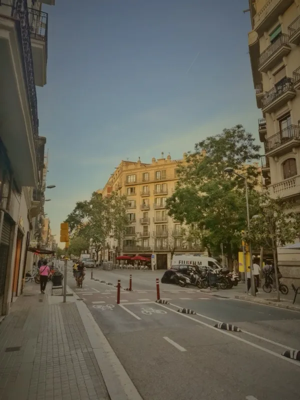Barcelona avenue with trees and golden hour light